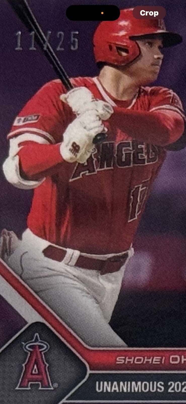 2023 Topps Now dual game-used base and bat relic card featuring Shohei Ohtani and Ronald Acuña Jr. in protective case