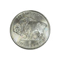 Sealed MINT tube of 20x 1 oz .999 fine Silver Buffalo Rounds in brilliant uncirculated condition