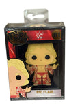 Funko Pop Pin WWE Ric Flair collectible enamel pin in red robe packaging