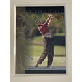 Tiger Woods 2001 Upper Deck Tiger's Tales rookie PGA Tour trading card #TT20 in protective sleeve