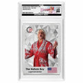 flair SD Bullion display photo